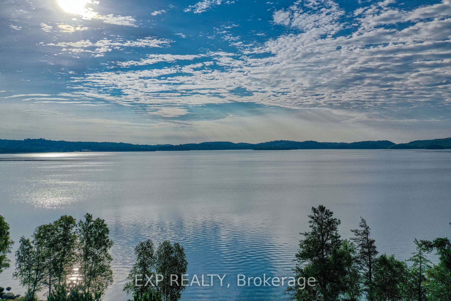 Listing X6768602 - Large Photo # 4