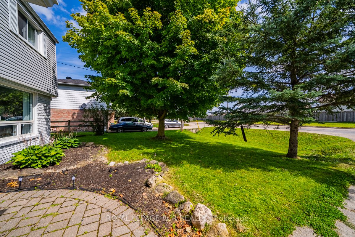 Listing X6769416 - Large Photo # 3