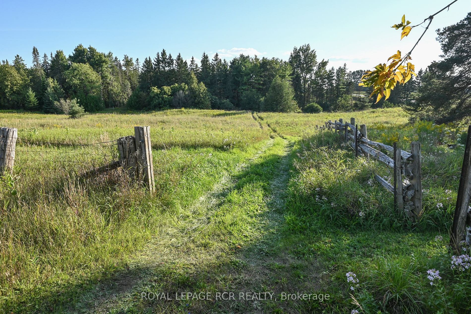 065016 County Rd 3