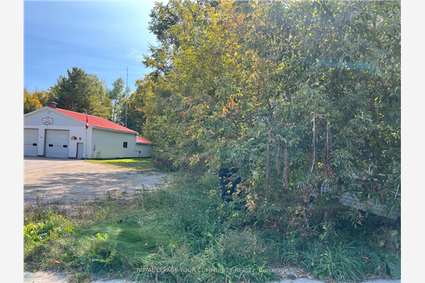 7485 Highway 35 Rd, Kawartha Lakes
