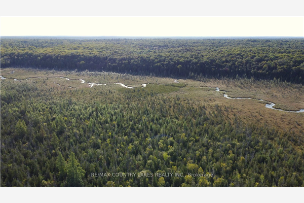 Lt 12 Bexley Laxton Twp Line, Kawartha Lakes