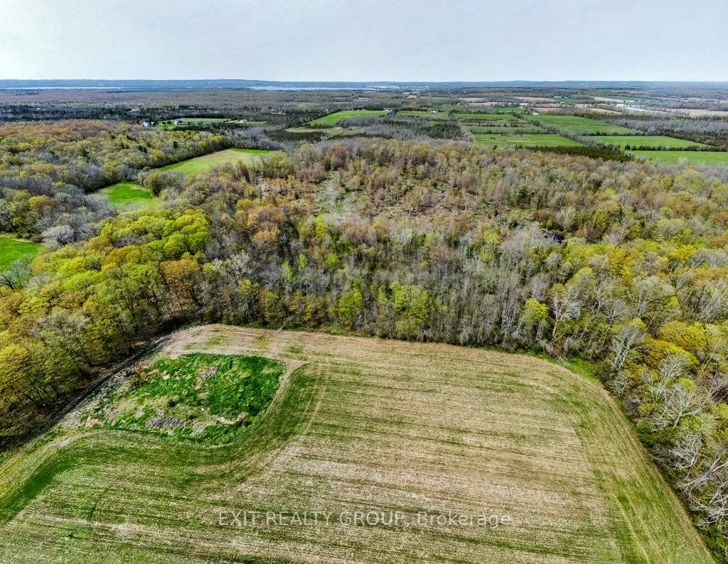 1024 County Road 19