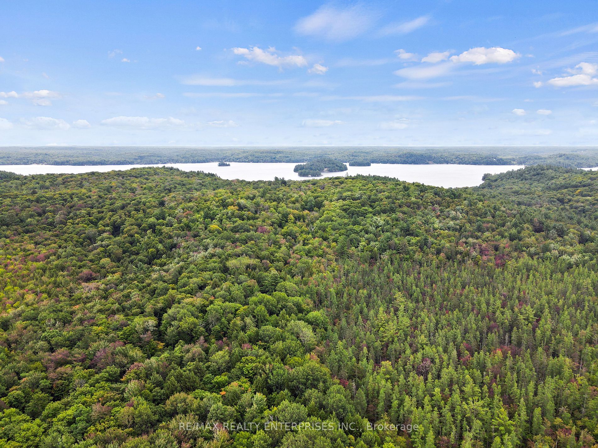 Listing X6782440 - Large Photo # 4