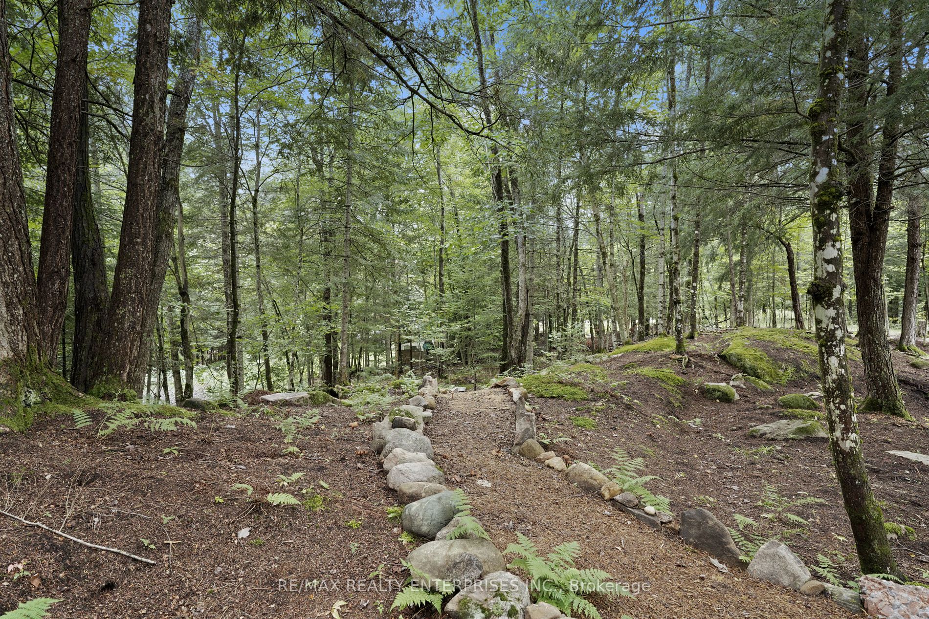 Listing X6782440 - Large Photo # 33