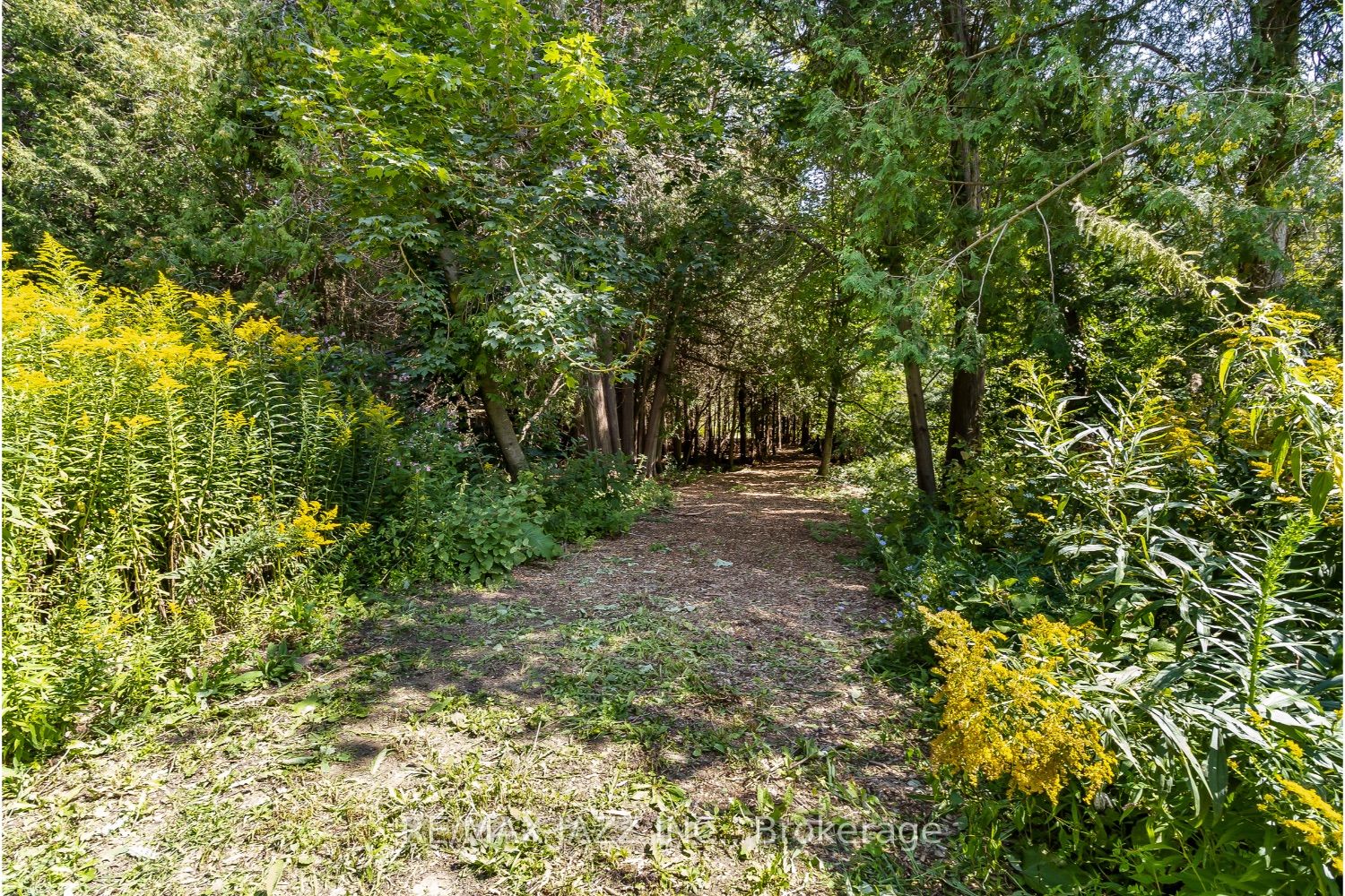 435 Bull Rd
