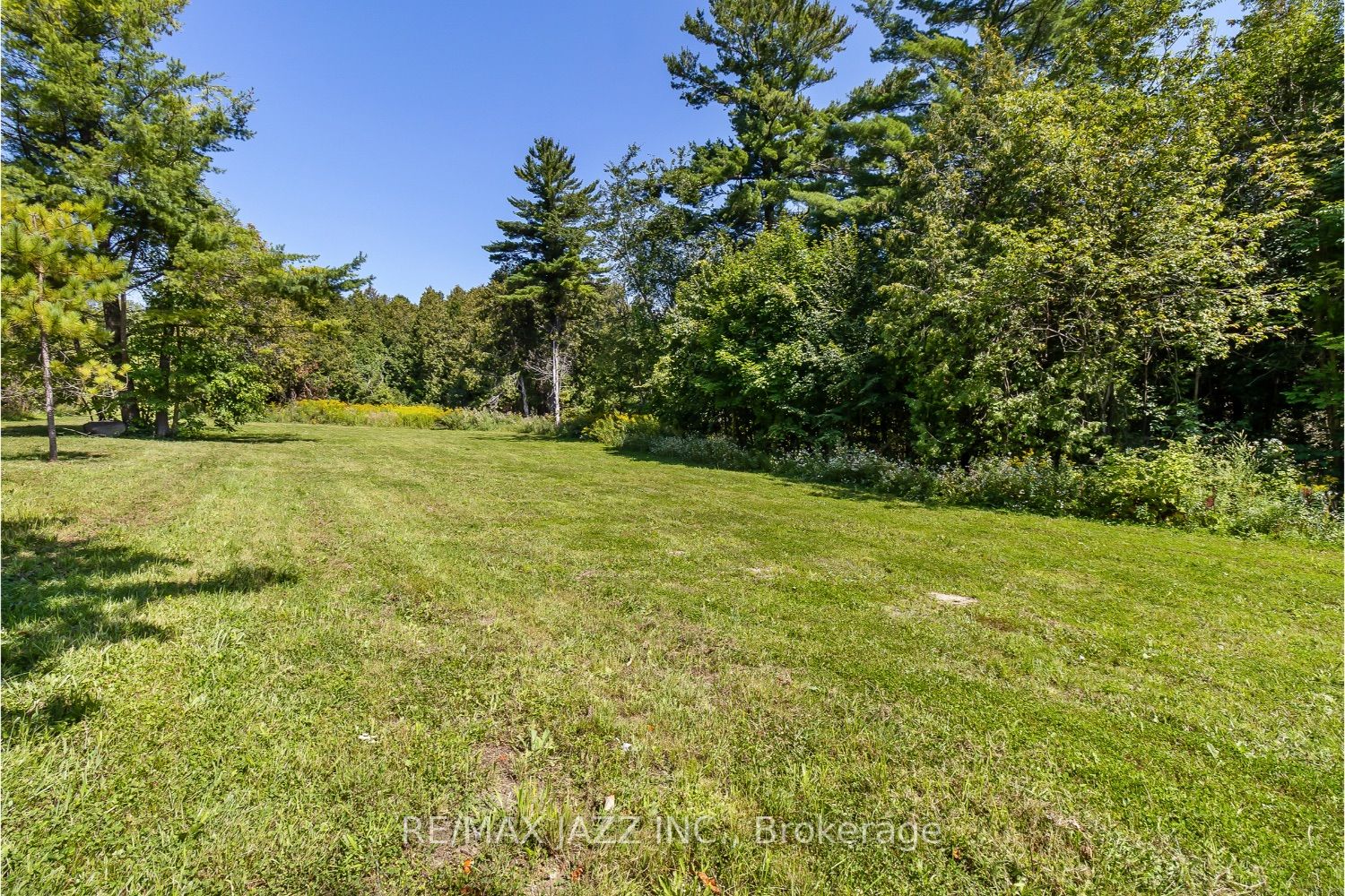 435 Bull Rd