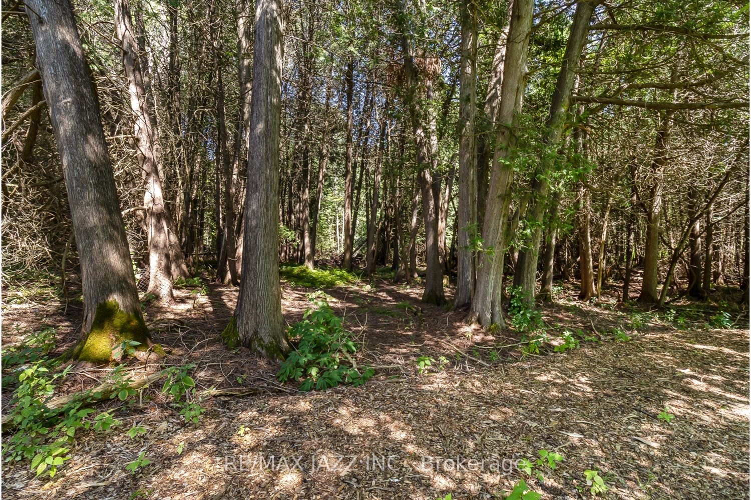 435 Bull Rd
