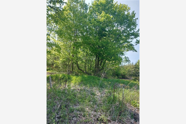 0 Gunter Settlement Rd, Quinte West