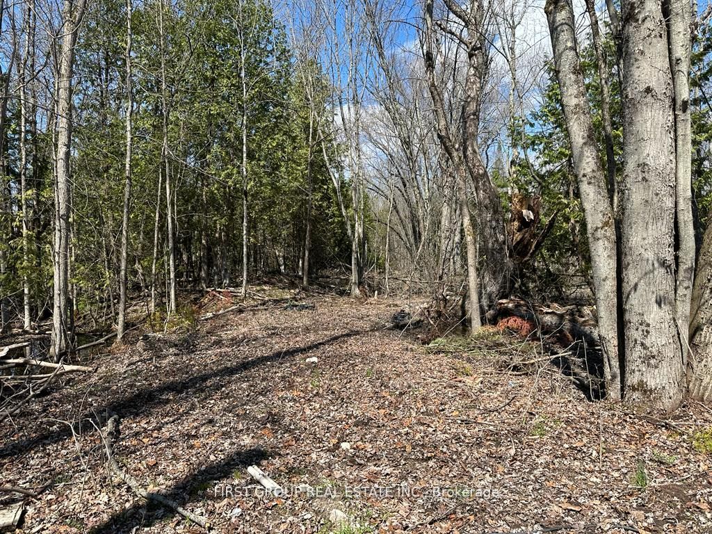 6170 Highway 35