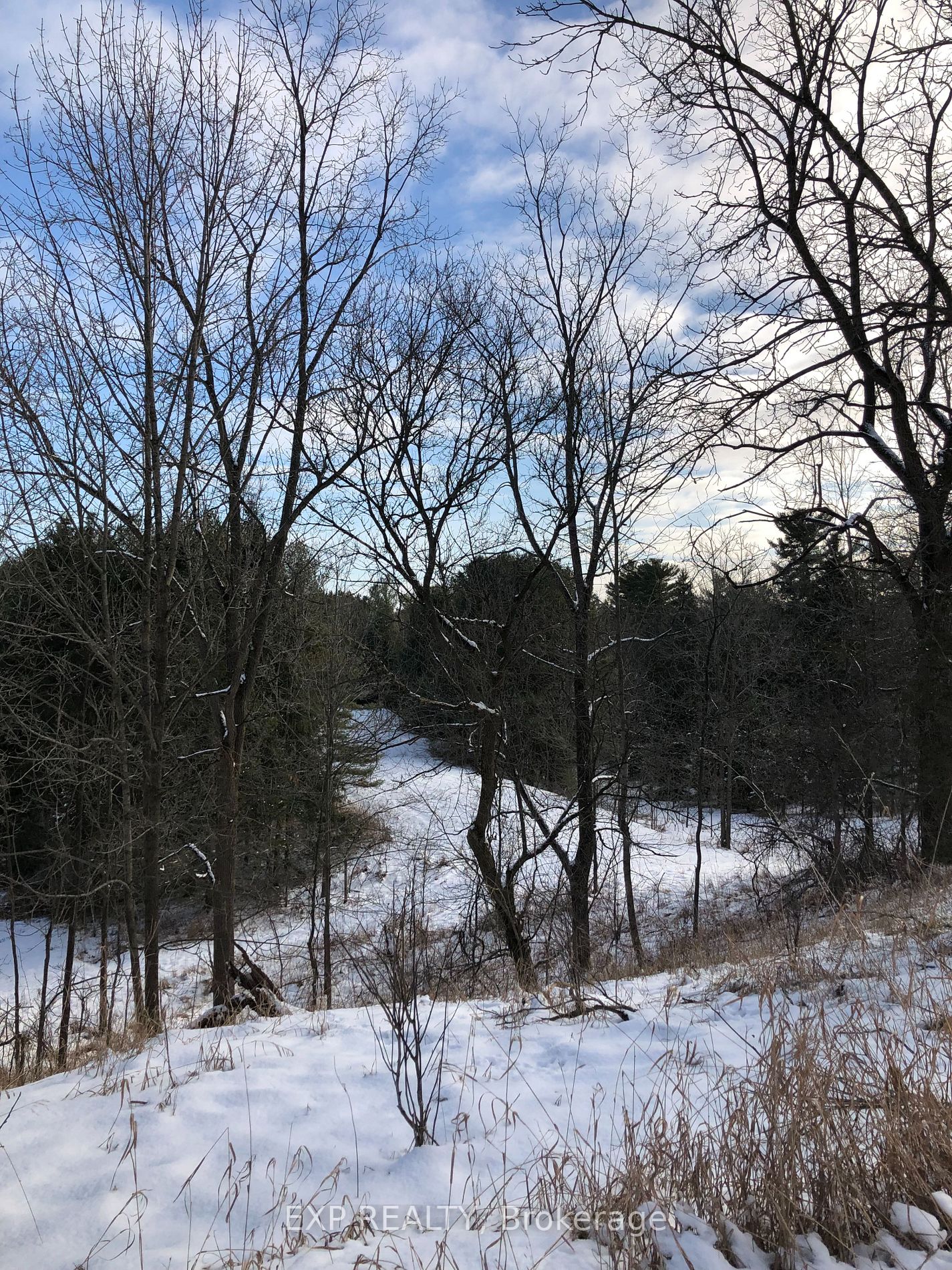 1605 County Road 17 Rd