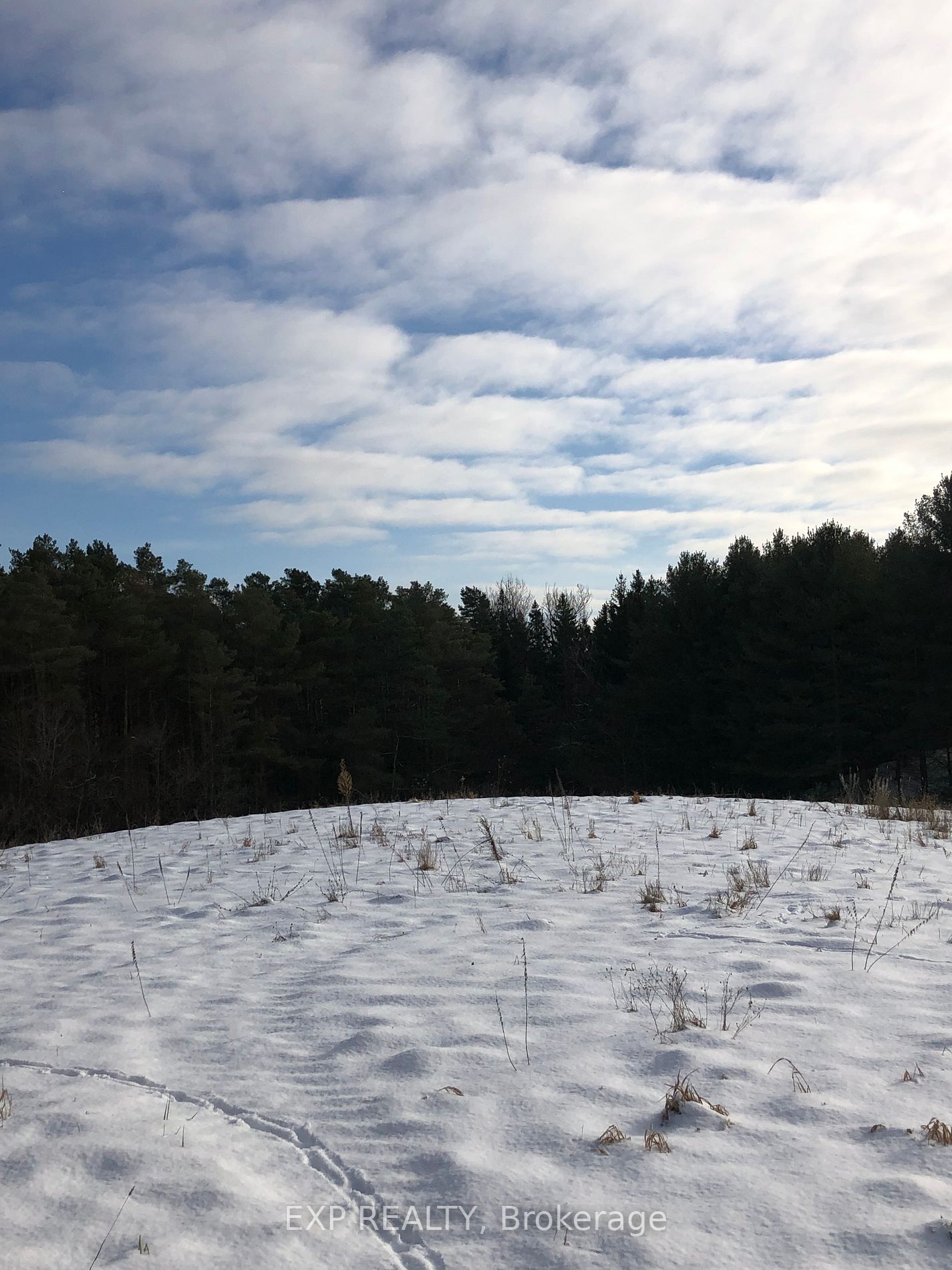 1605 County Road 17 Rd