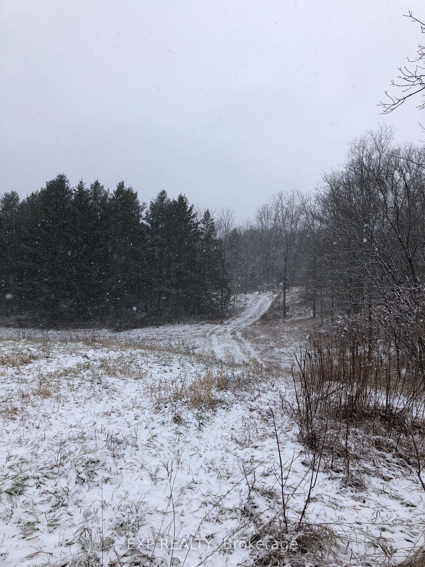 1605 County Road 17 Rd