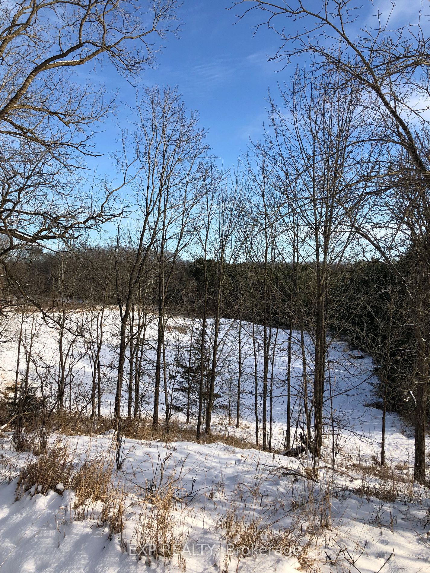 1605 County Road 17 Rd