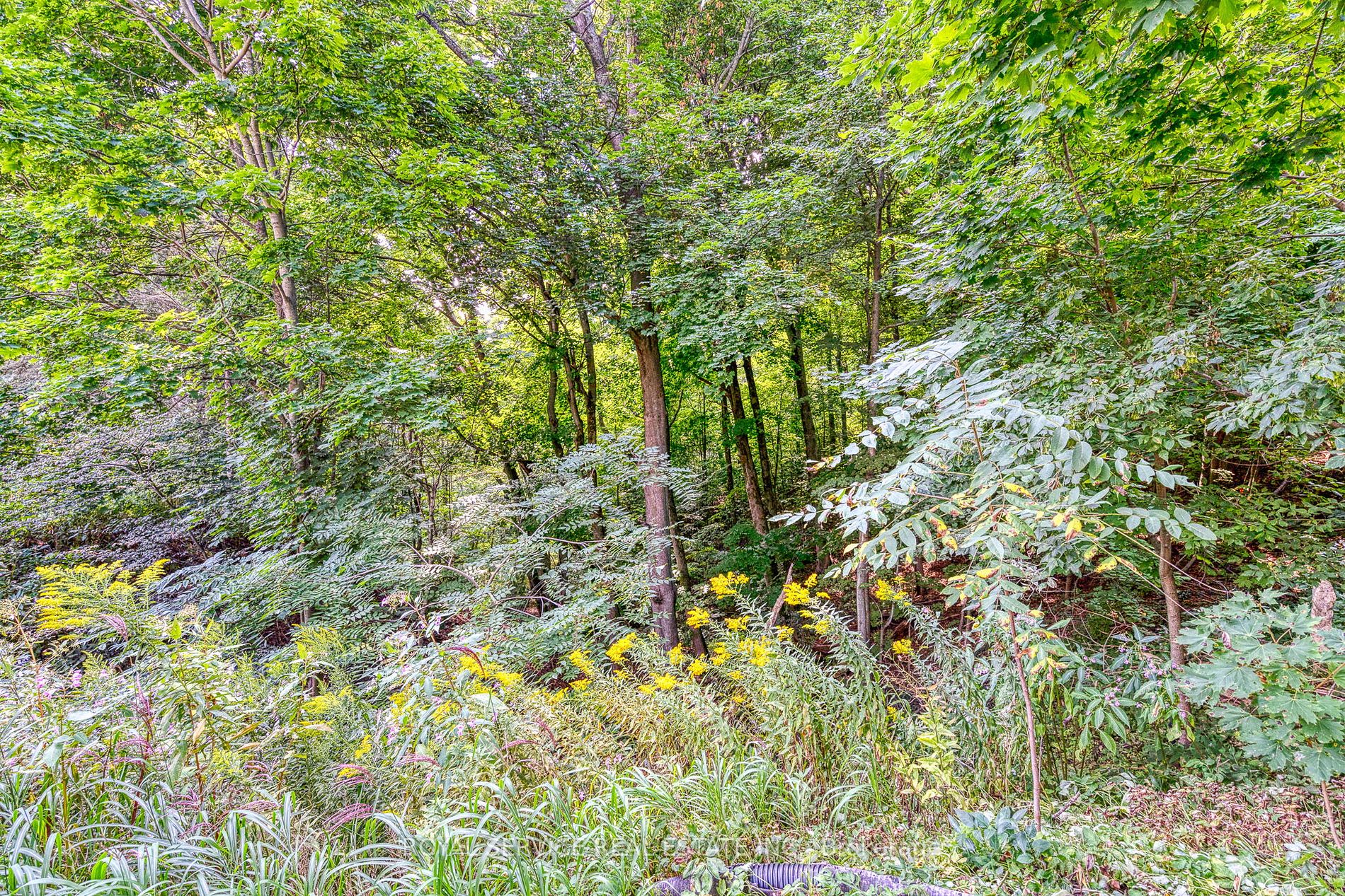 Listing X6798562 - Large Photo # 40