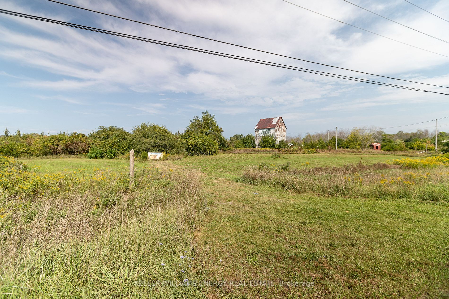 00 Loyalist Pkwy