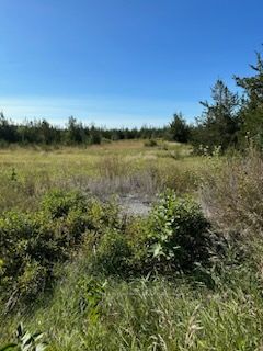 331 County Road 14 Rd