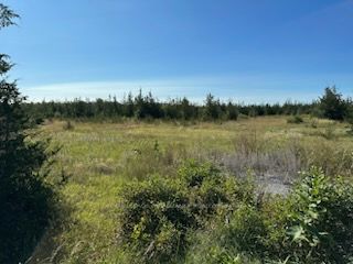 331 County Road 14 Rd