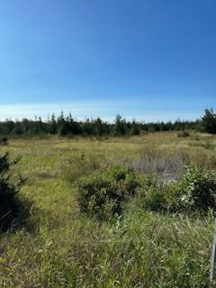 331 County Road 14 Rd