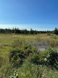 331 County Road 14 Rd