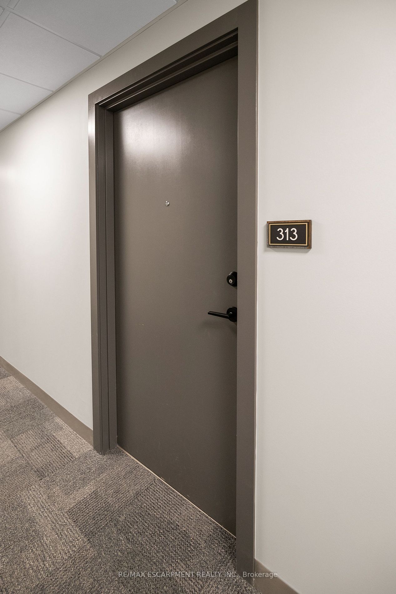26 LOWES Road, #313
