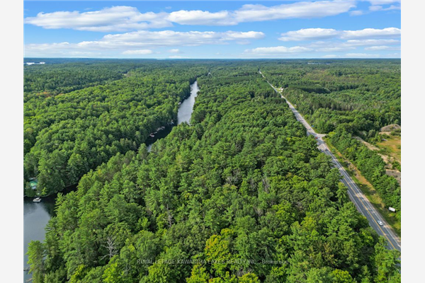 8056 Highway 35 E, Kawartha Lakes