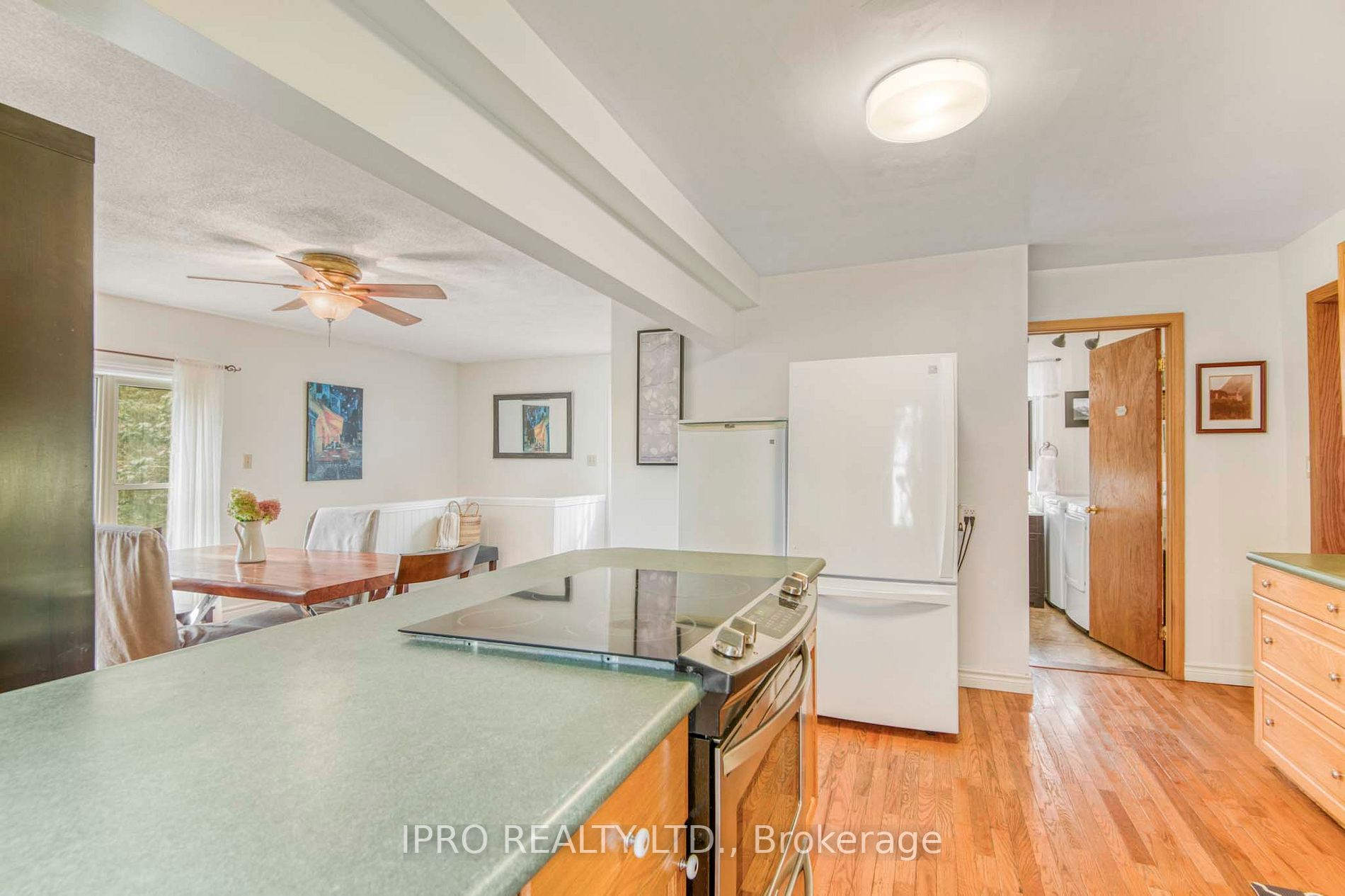53 Crozier Street