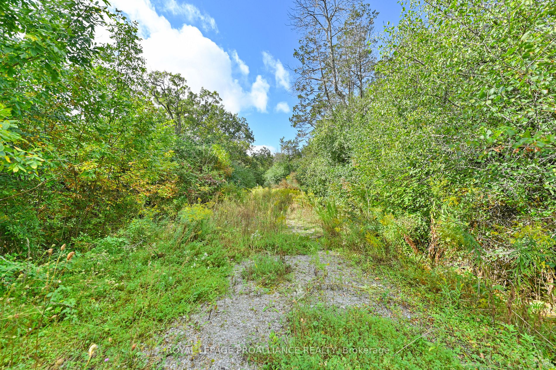 178 Sunrise Dr