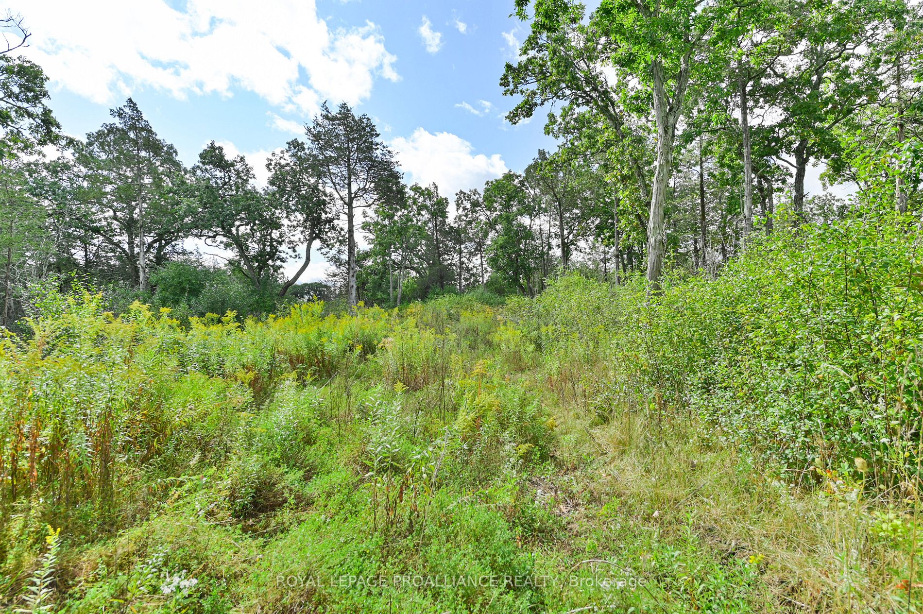 178 Sunrise Dr