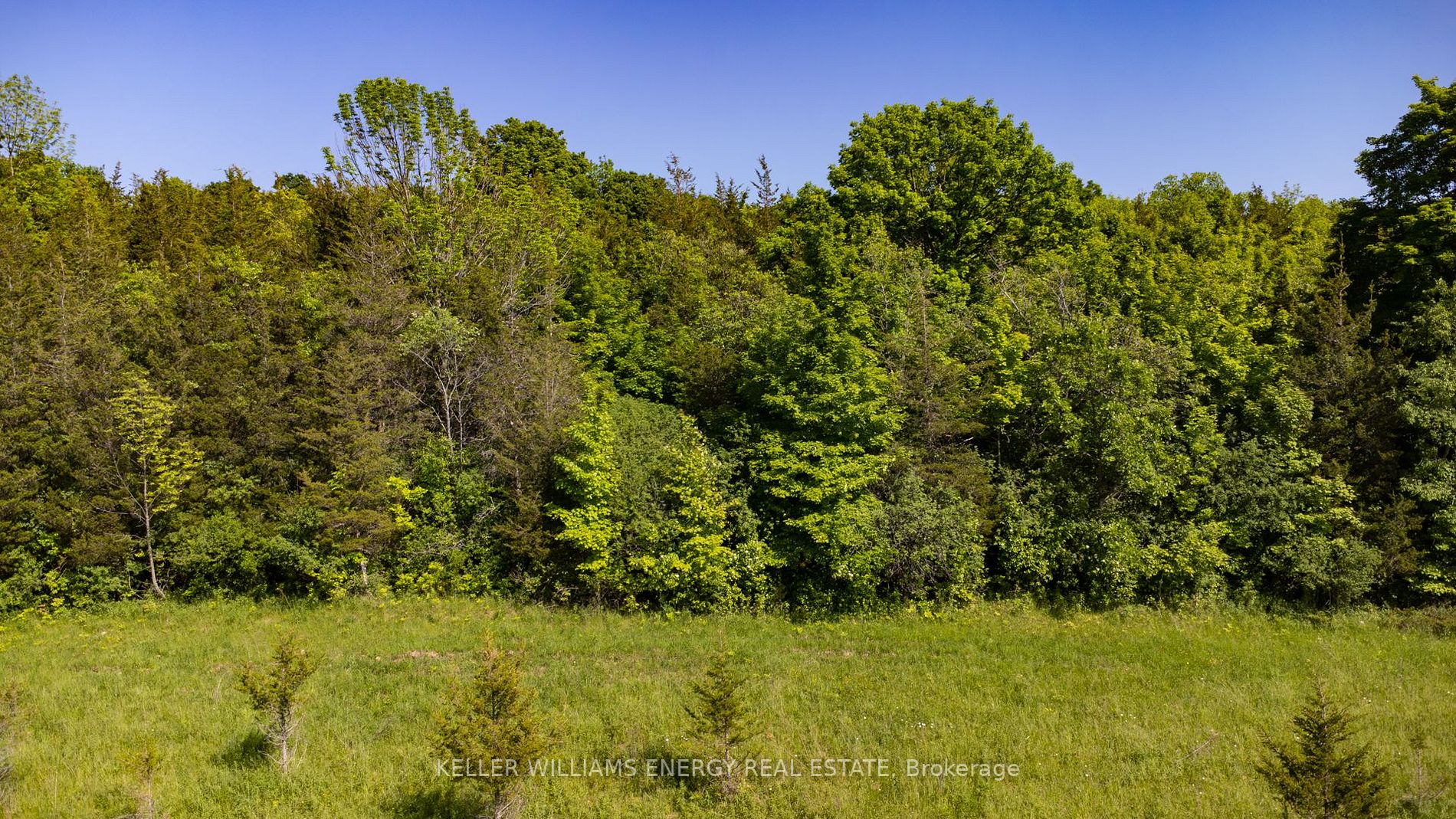 1051 County Road 13 Rd