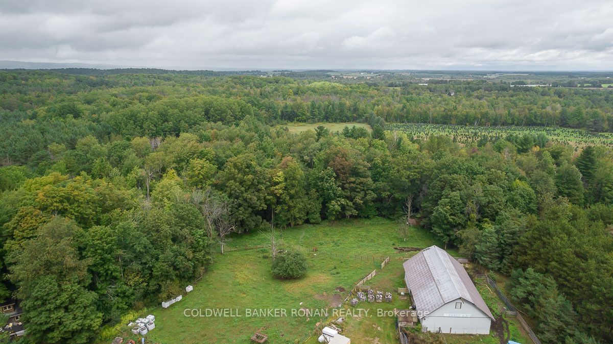 Listing X7003868 - Large Photo # 33