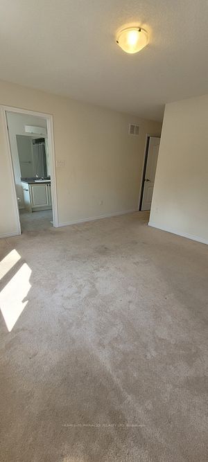 8847 Chickory Trail