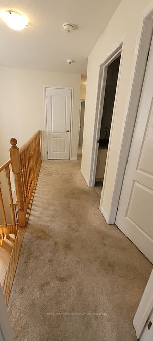 8847 Chickory Trail
