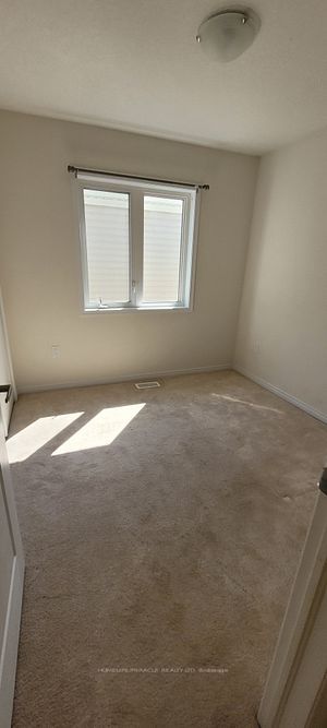 8847 Chickory Trail