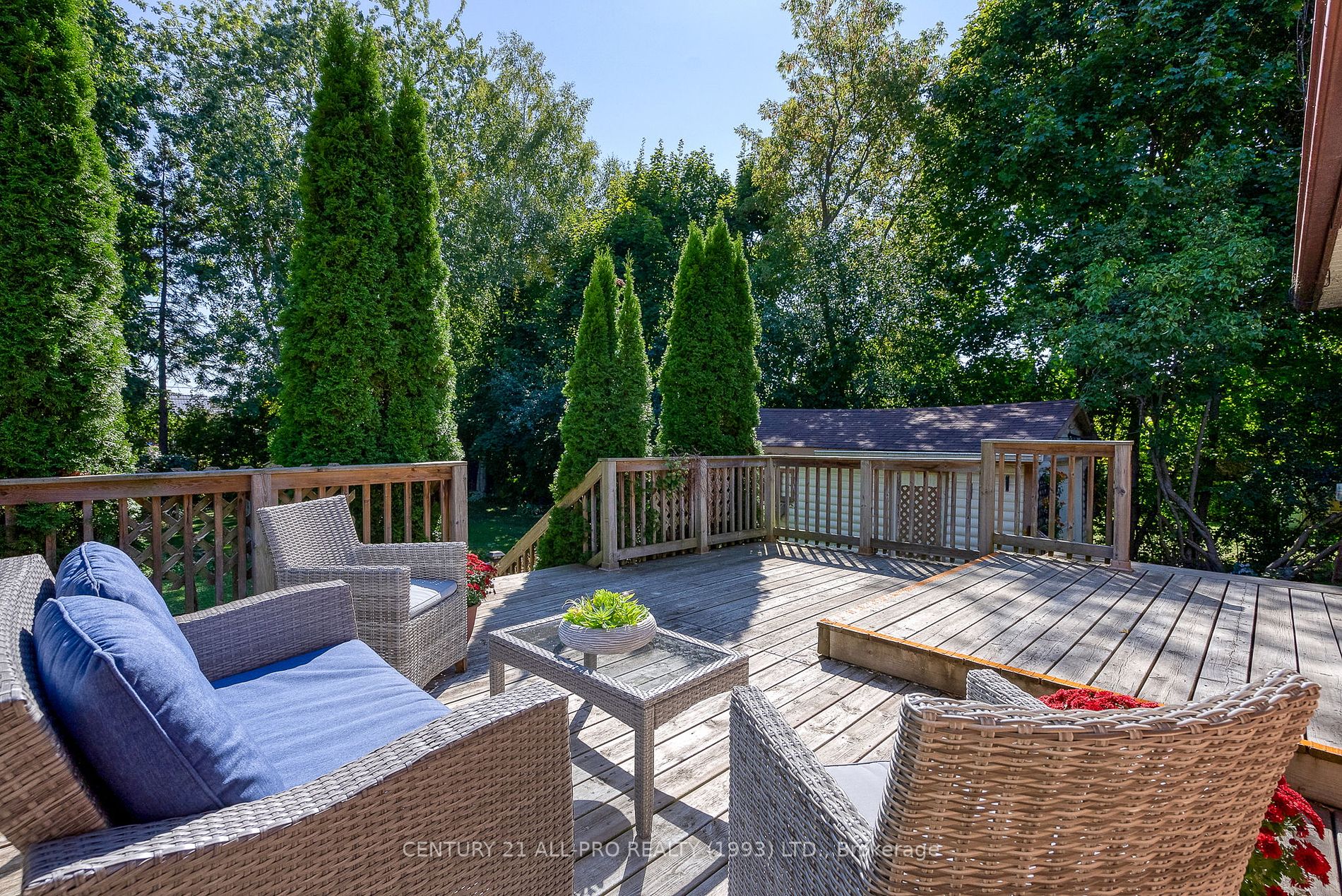21 Orchard Ave