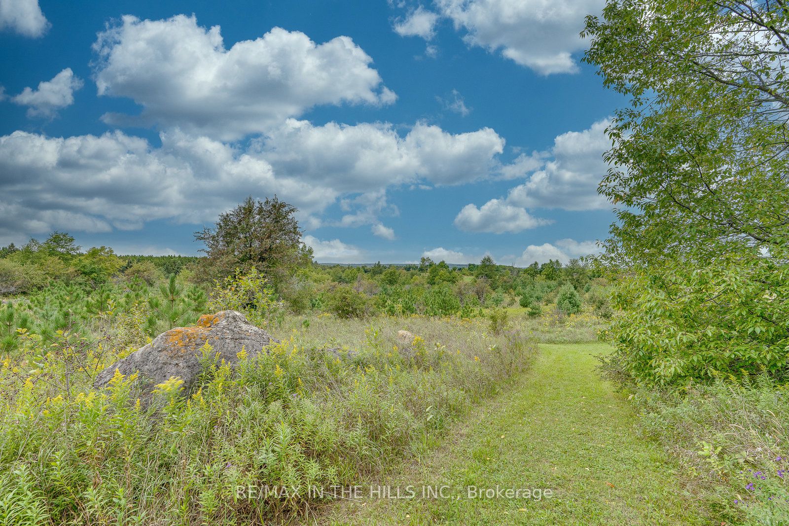 247515 5th Side Road