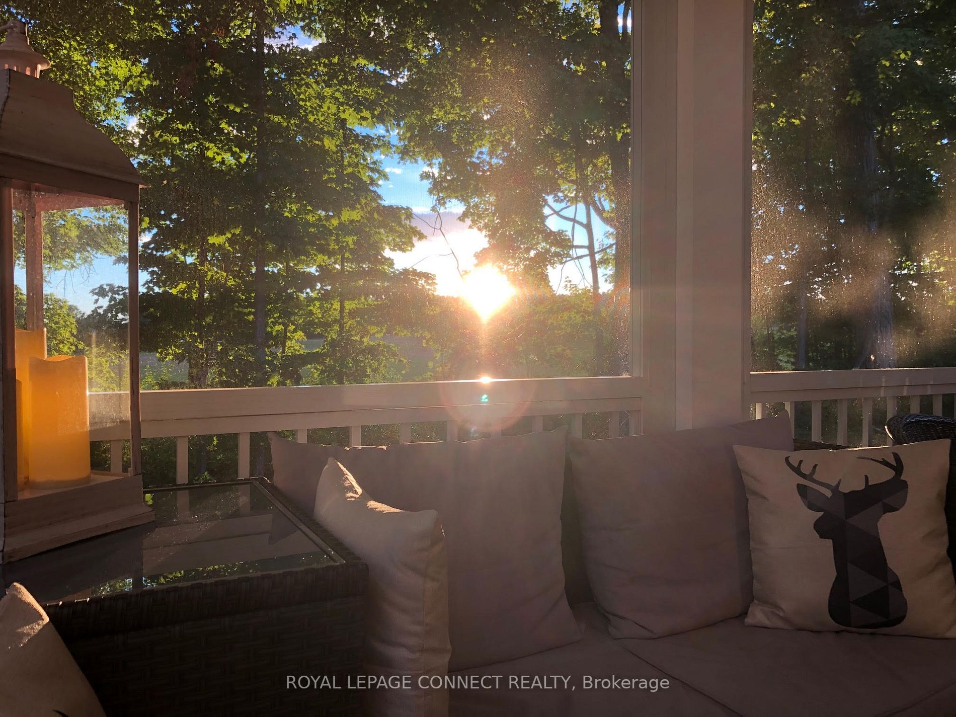 6 Farm View Lane #143