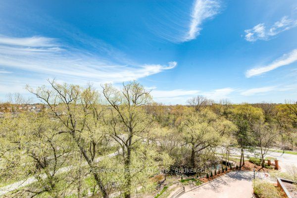 52 Blue Springs Dr, #61