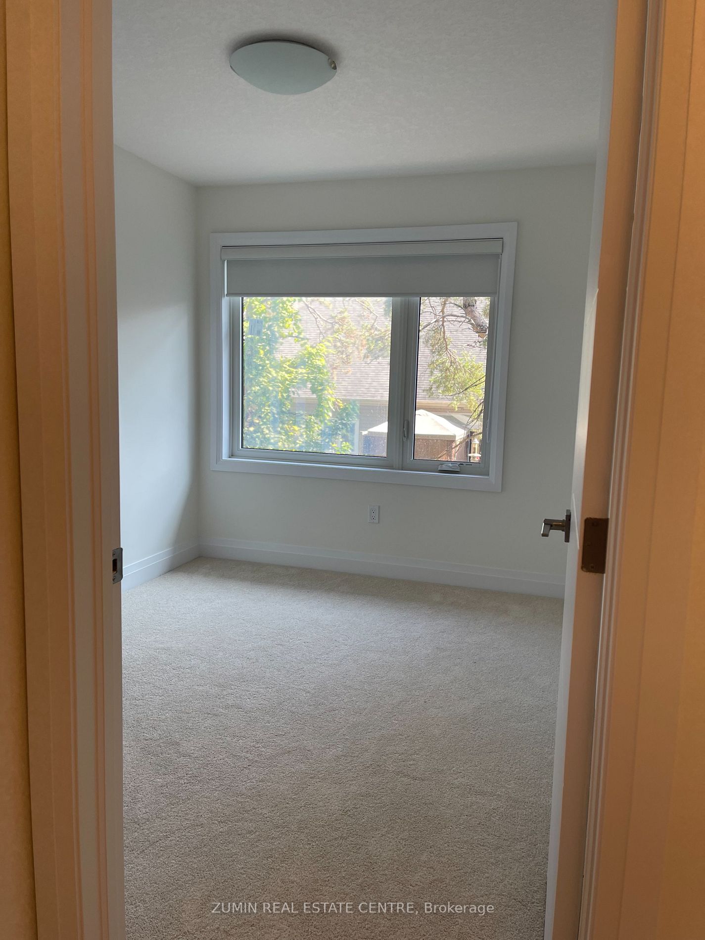 31 Lily Lane, #30