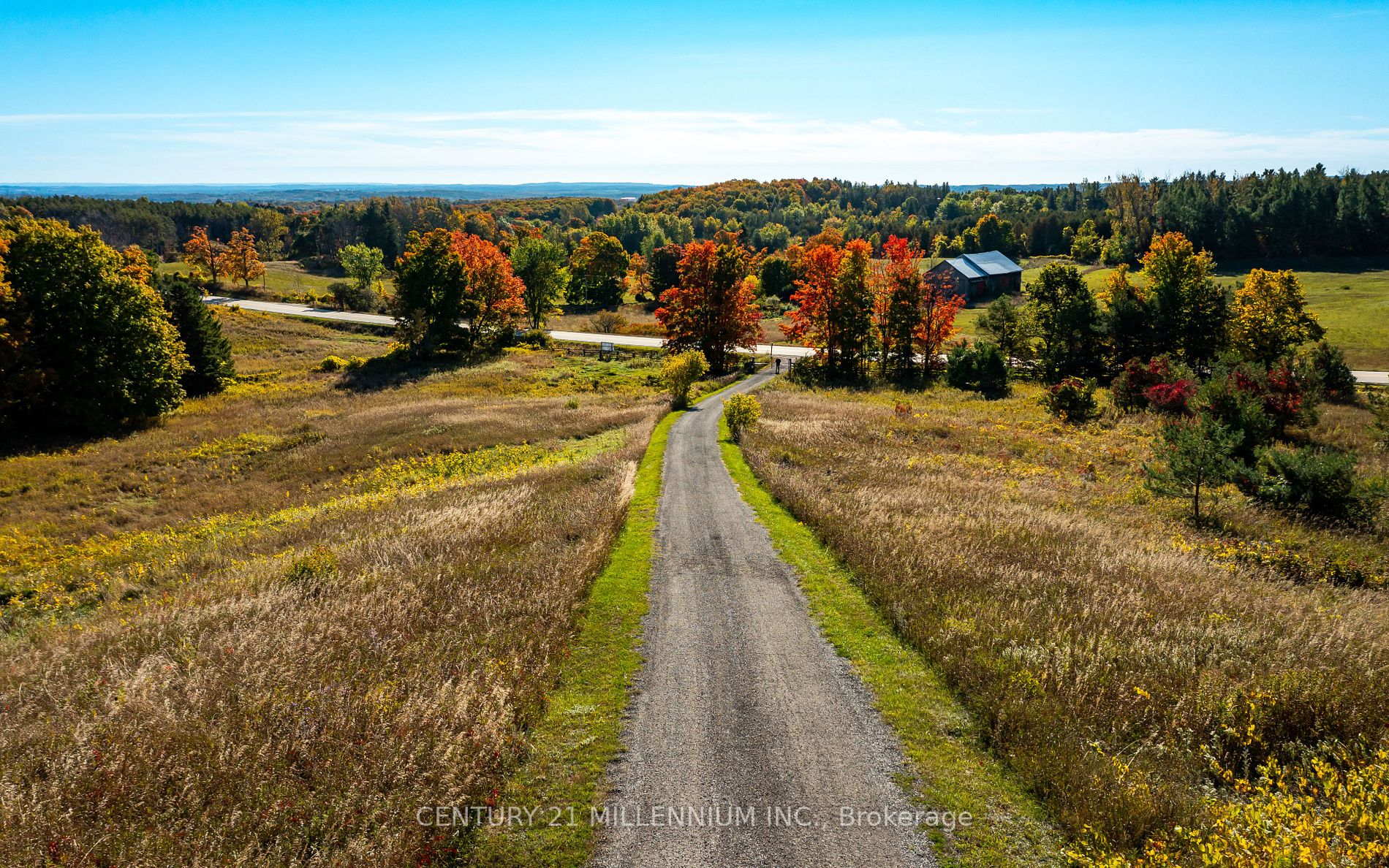 388239 Mono Centre Rd