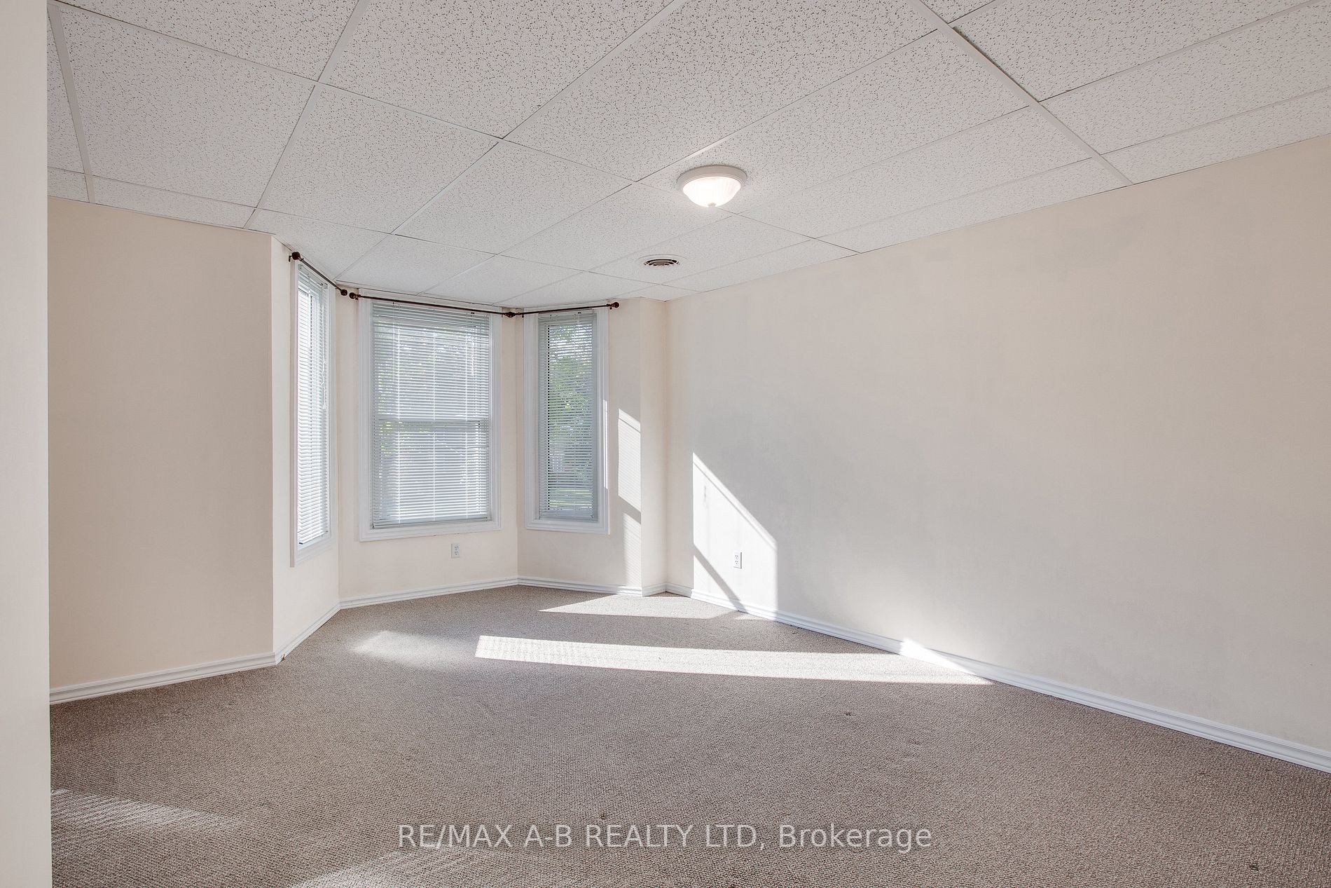 311 Ingersoll Ave