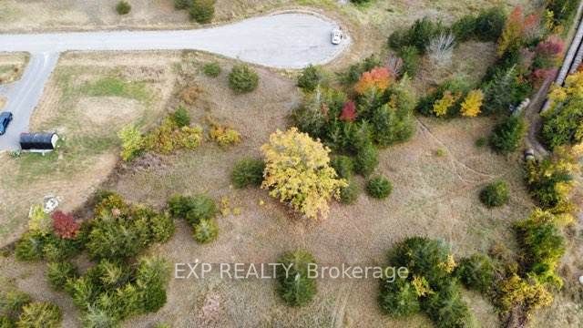 00 Healey Falls Dr