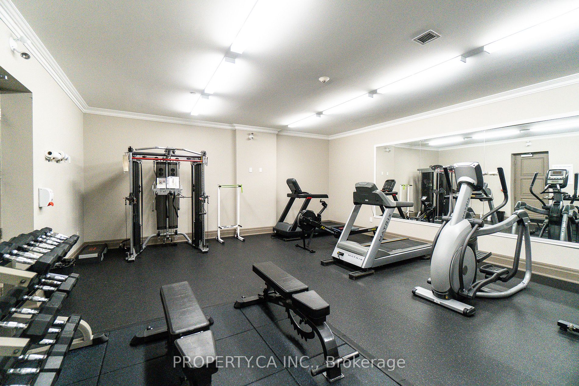 397 King St W, #215