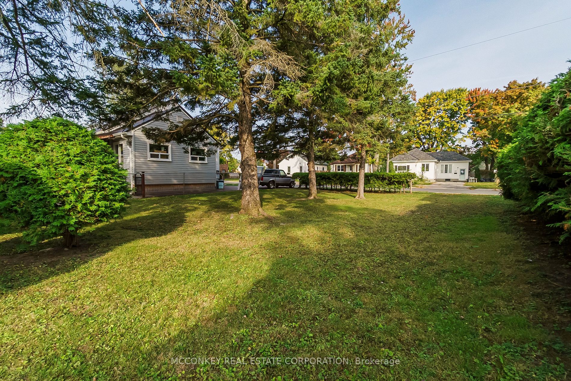 491 King George St