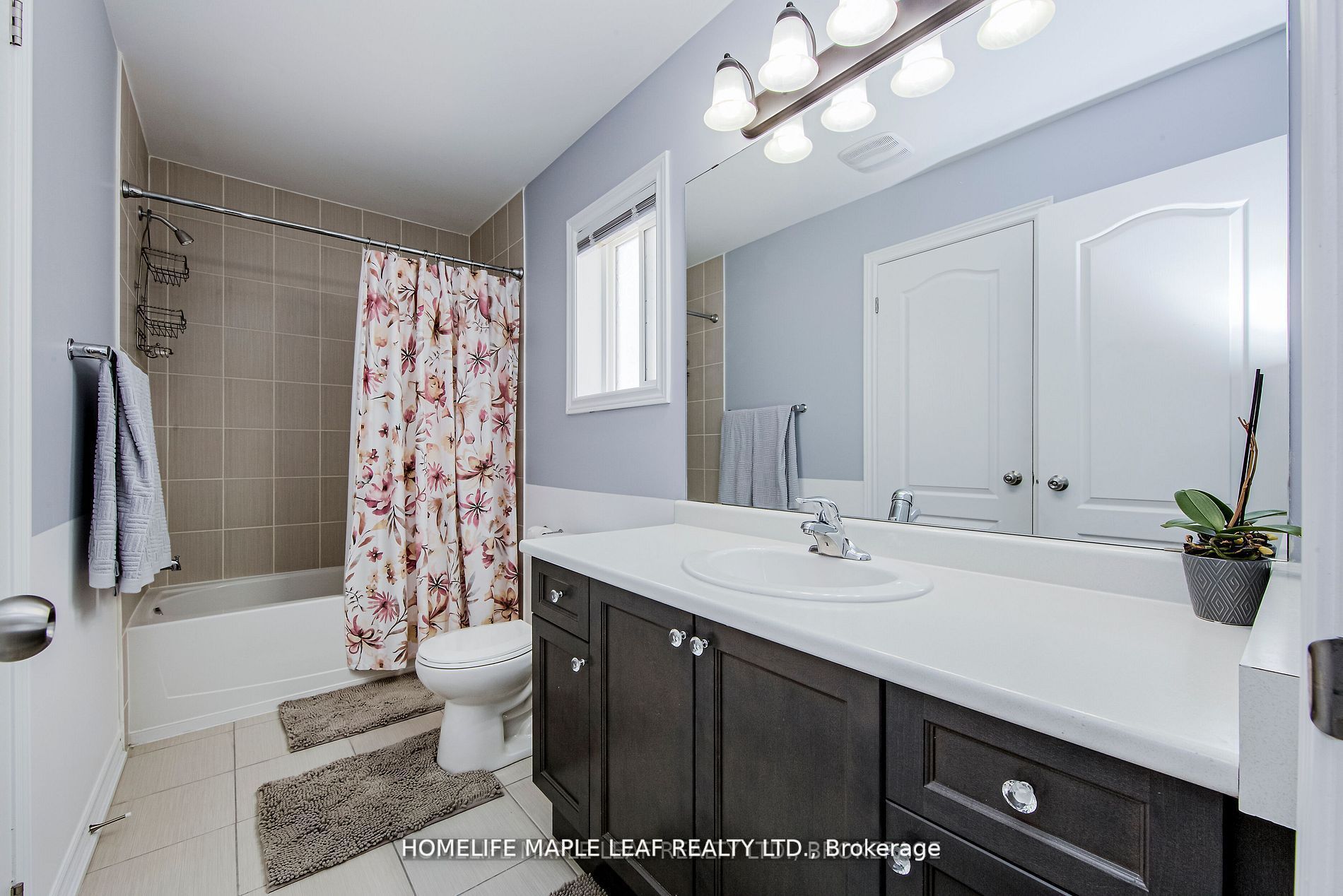 805 Halbert Dr