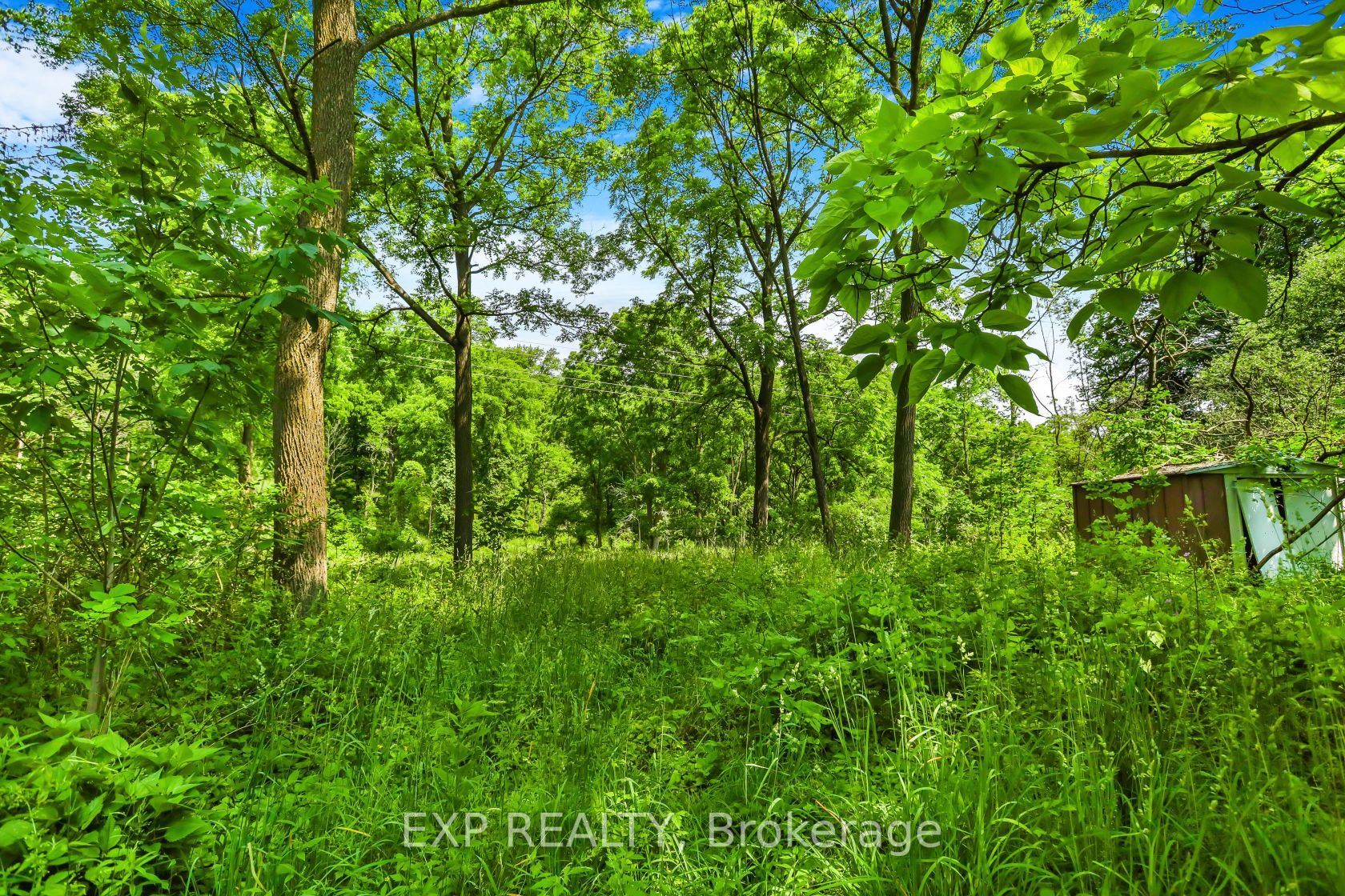 671 Lions Club Road