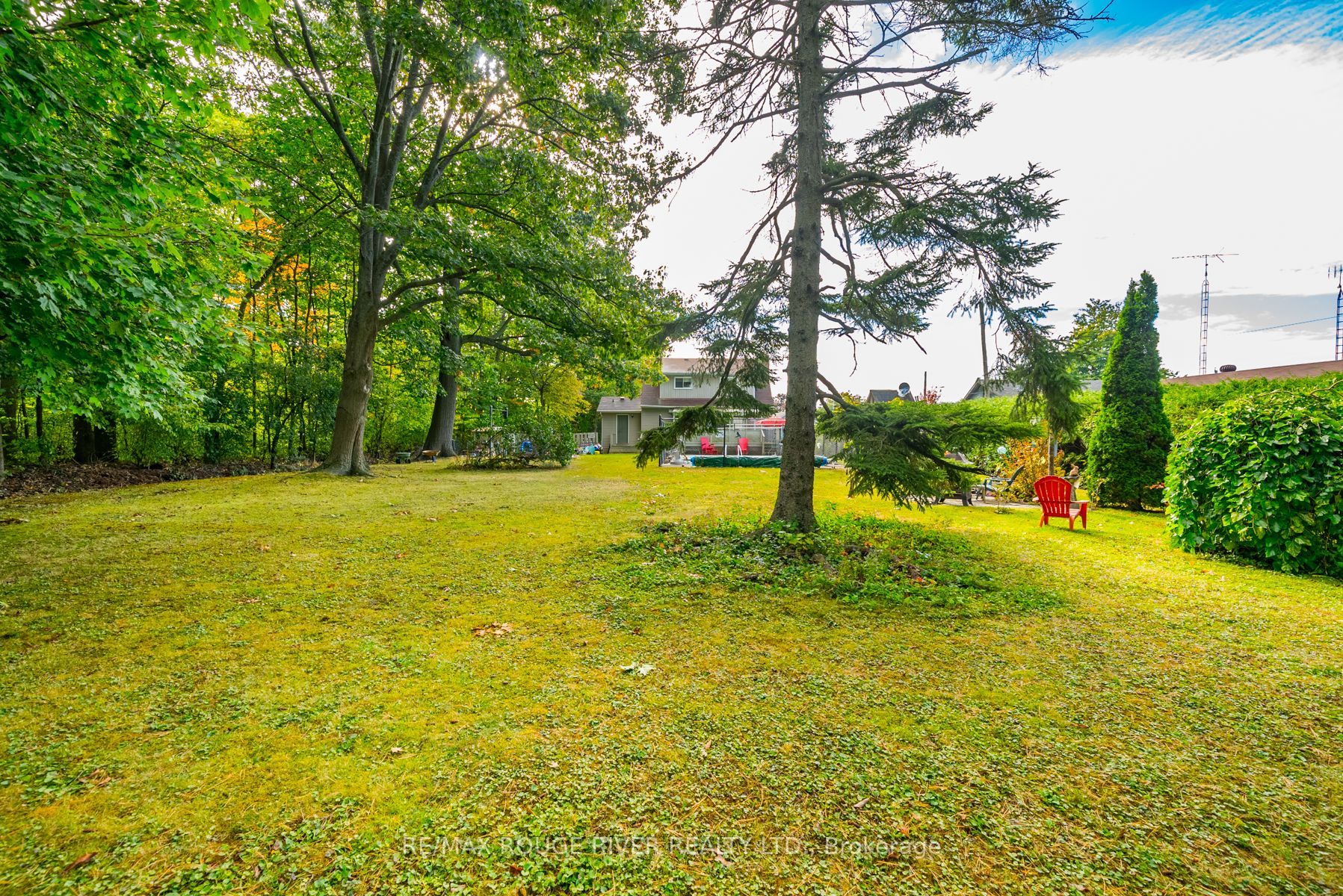 24 Hamilton Avenue