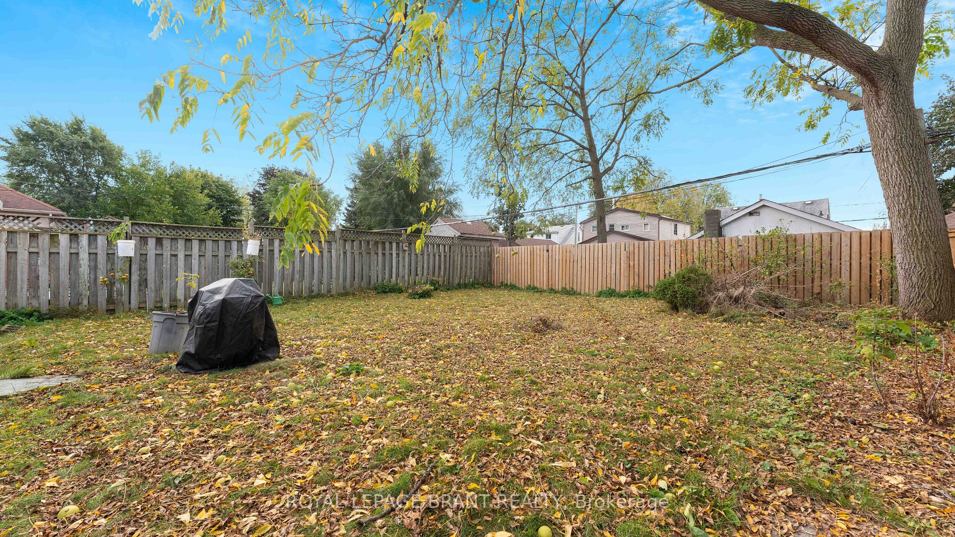 83 Elmwood Avenue