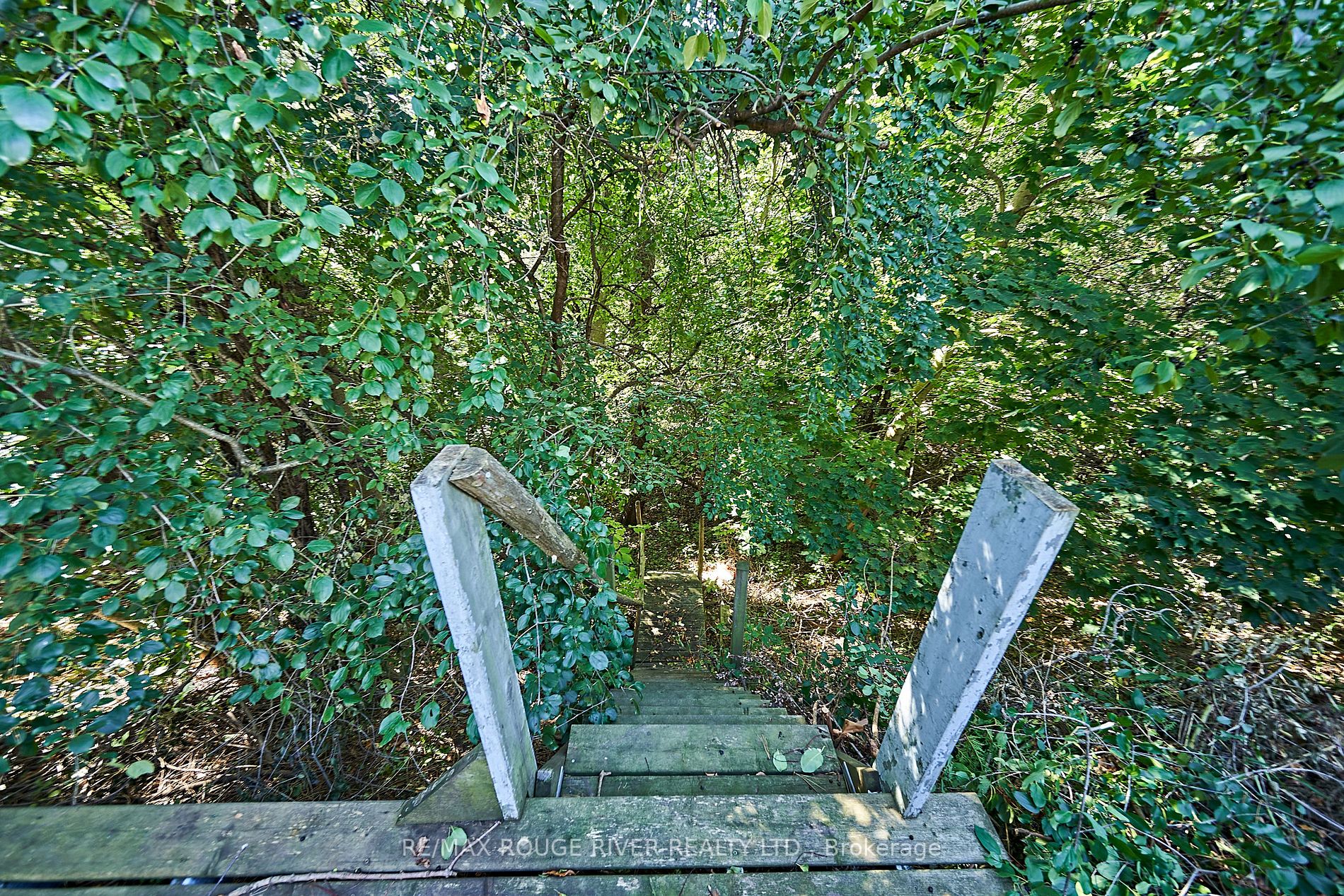 41 Ravine Drive