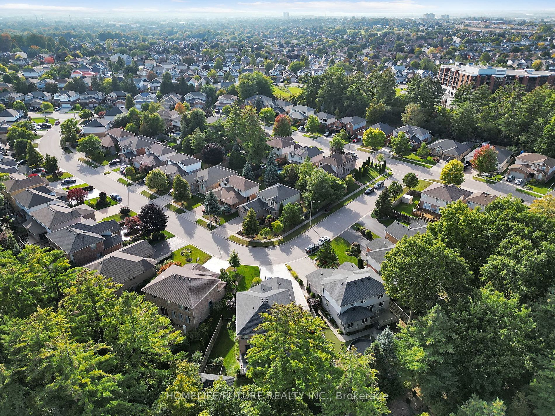 35 Archwood Cres