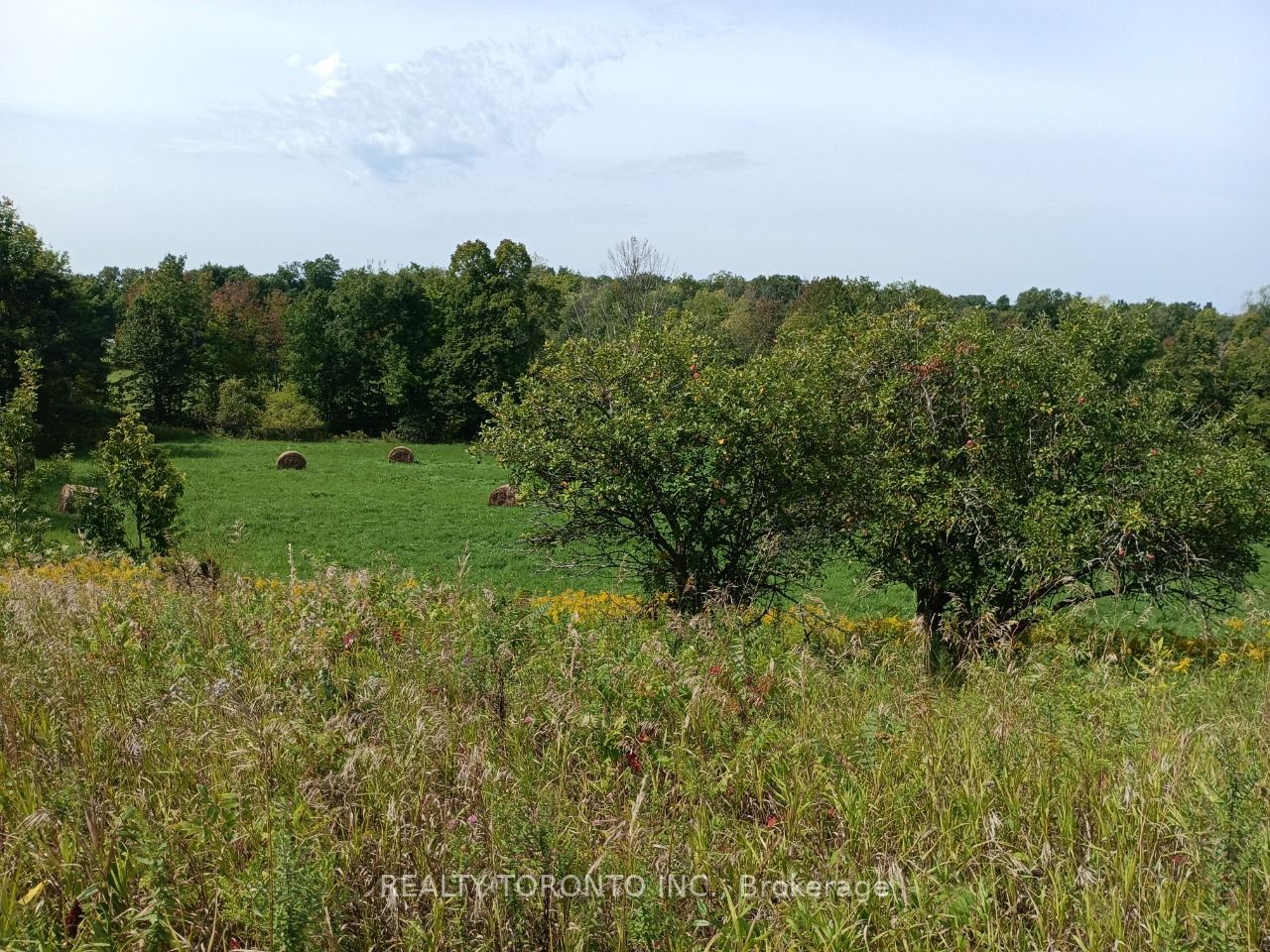 195 Prest Road